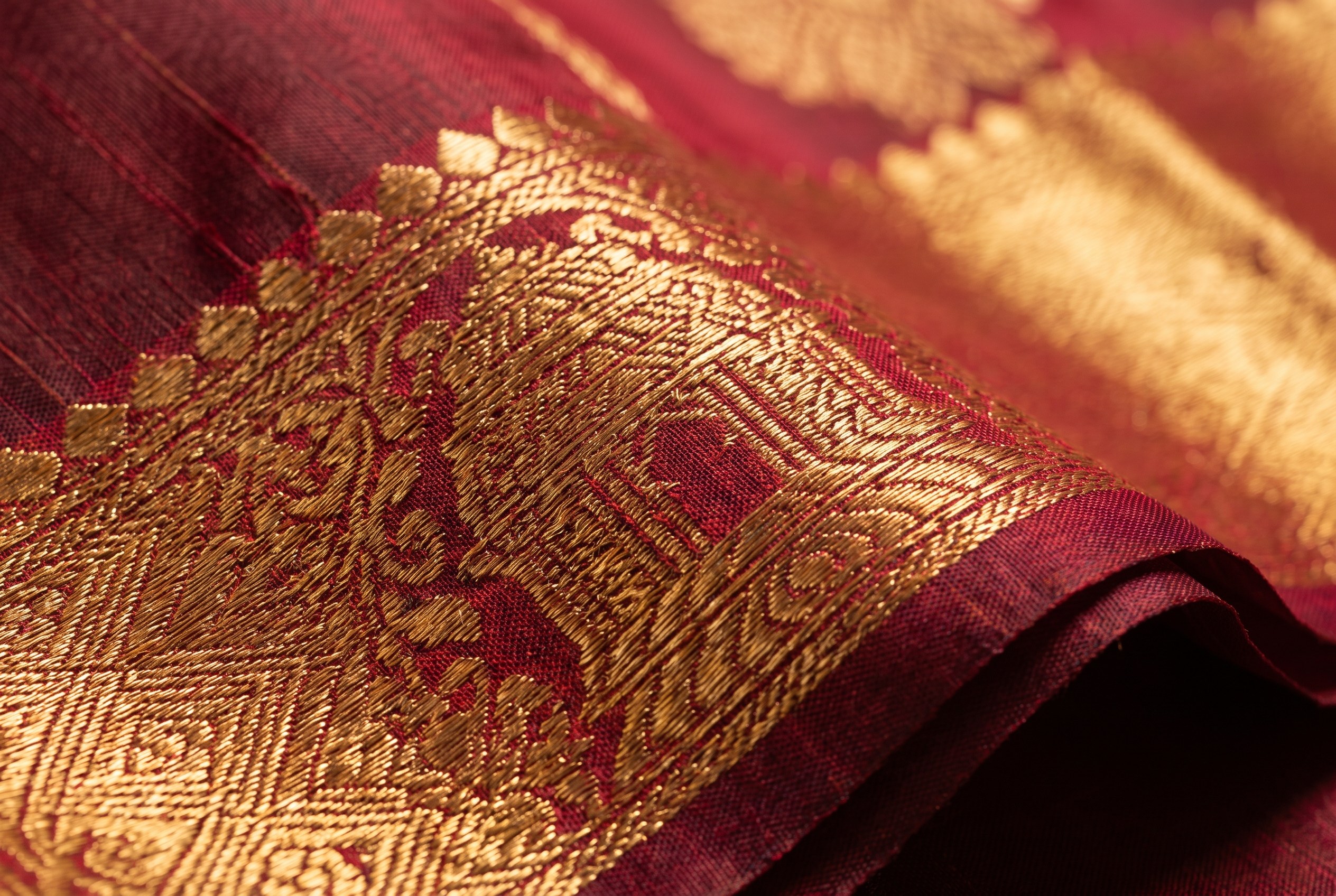 Close-up of gold zari temple border on pure Kanchipuram silk saree